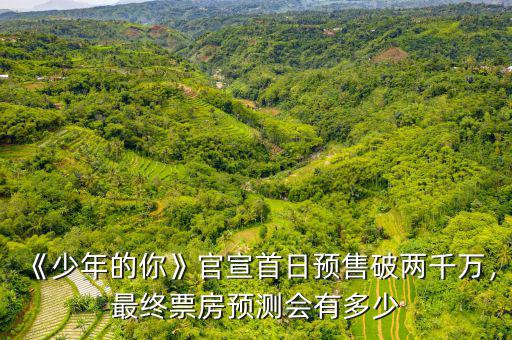 《少年的你》官宣首日預(yù)售破兩千萬，最終票房預(yù)測會有多少