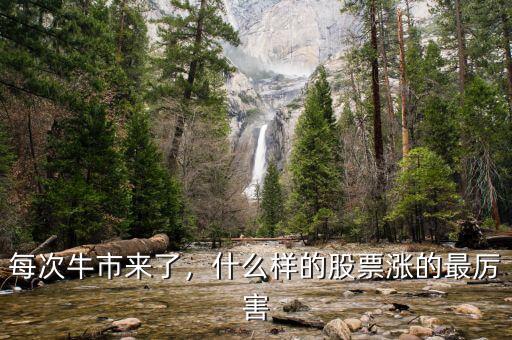 每次牛市來(lái)了，什么樣的股票漲的最厲害