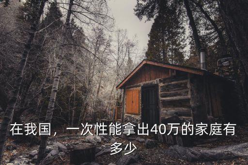 在我國(guó)，一次性能拿出40萬(wàn)的家庭有多少