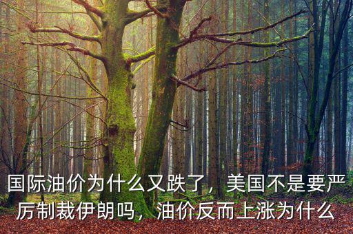國際油價為什么又跌了，美國不是要嚴(yán)厲制裁伊朗嗎，油價反而上漲為什么