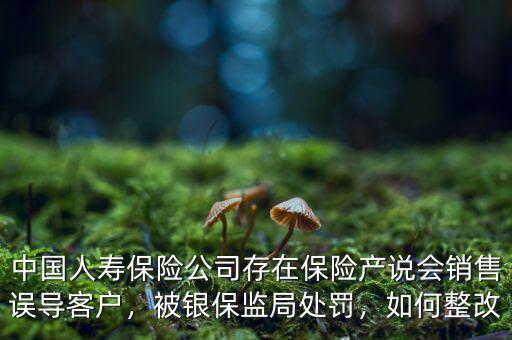 中國(guó)人壽保險(xiǎn)公司存在保險(xiǎn)產(chǎn)說(shuō)會(huì)銷售誤導(dǎo)客戶，被銀保監(jiān)局處罰，如何整改