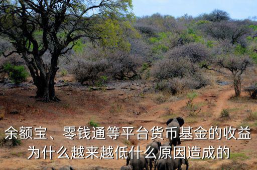 余額寶、零錢通等平臺(tái)貨幣基金的收益為什么越來越低什么原因造成的