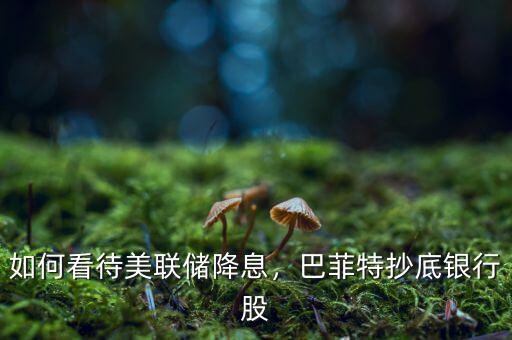 如何看待美聯(lián)儲(chǔ)降息，巴菲特抄底銀行股
