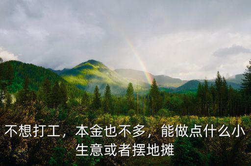 不想打工，本金也不多，能做點什么小生意或者擺地攤