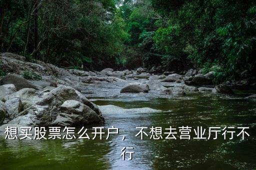 想買股票怎么開戶，不想去營業(yè)廳行不行