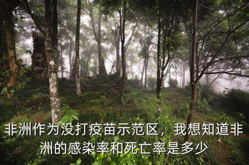 非洲作為沒(méi)打疫苗示范區(qū)，我想知道非洲的感染率和死亡率是多少