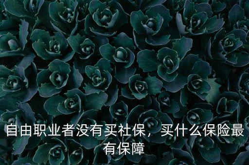 自由職業(yè)者沒有買社保，買什么保險(xiǎn)最有保障