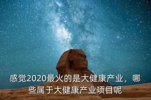 感覺(jué)2020最火的是大健康產(chǎn)業(yè)，哪些屬于大健康產(chǎn)業(yè)項(xiàng)目呢