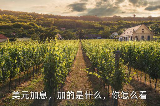 美元加息，加的是什么，你怎么看