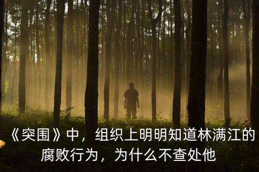 《突圍》中，組織上明明知道林滿江的腐敗行為，為什么不查處他