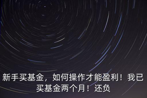 新手買(mǎi)基金，如何操作才能盈利！我已買(mǎi)基金兩個(gè)月！還負(fù)