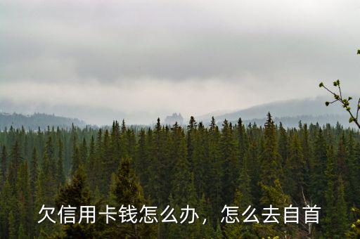 欠信用卡錢怎么辦，怎么去自首