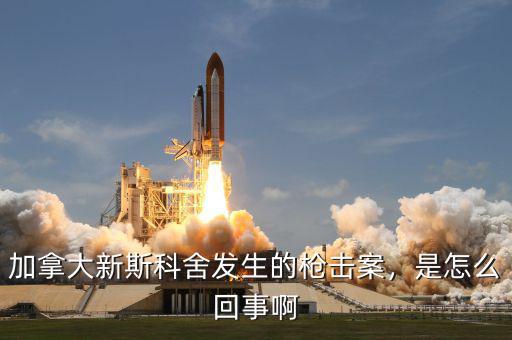 加拿大新斯科舍發(fā)生的槍擊案，是怎么回事啊