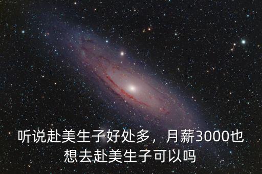 聽說赴美生子好處多，月薪3000也想去赴美生子可以嗎
