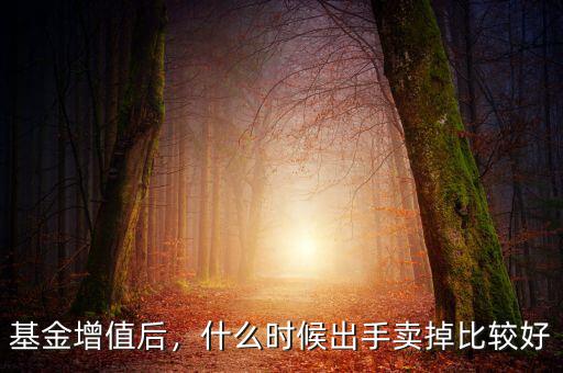 持有B基金什么時(shí)間出手劃箅,基金持有多長(zhǎng)時(shí)間可以賣(mài)