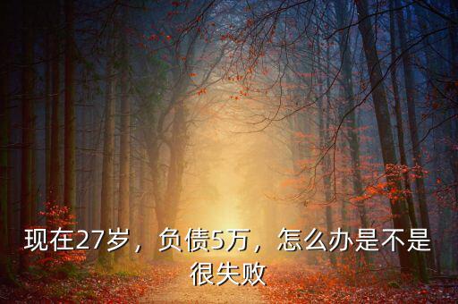 現(xiàn)在27歲，負(fù)債5萬(wàn)，怎么辦是不是很失敗