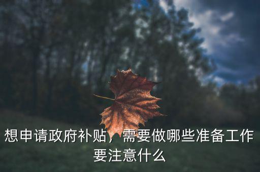 想申請(qǐng)政府補(bǔ)貼，需要做哪些準(zhǔn)備工作要注意什么