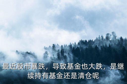 最近股市暴跌，導(dǎo)致基金也大跌，是繼續(xù)持有基金還是清倉(cāng)呢