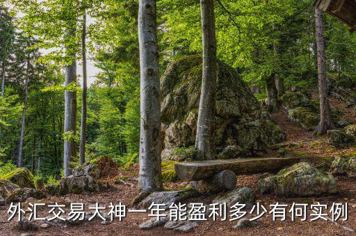 外匯交易每單盈利多少點數是高手,外匯交易大神一年能盈利多少
