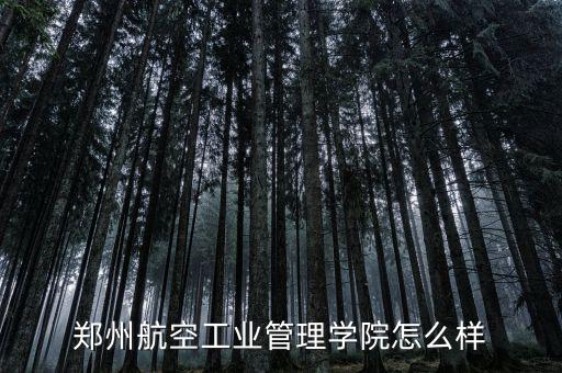 鄭州東美航空怎么樣,這個(gè)專(zhuān)業(yè)怎么樣