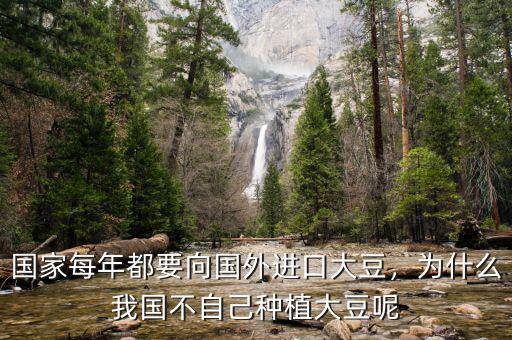 國家每年都要向國外進口大豆，為什么我國不自己種植大豆呢