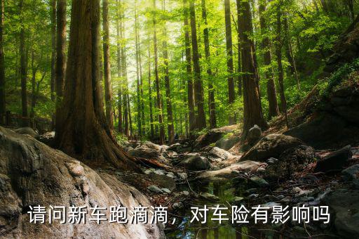 滴滴車(chē)險(xiǎn)怎么樣,滴滴出行客戶端的車(chē)險(xiǎn)怎么樣