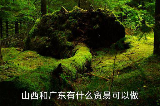 廣東自貿區(qū)有什么賣,山西和廣東有什么貿易可以做