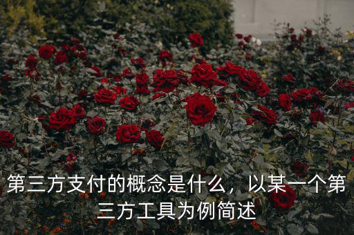 第三方支付的概念是什么，以某一個第三方工具為例簡述