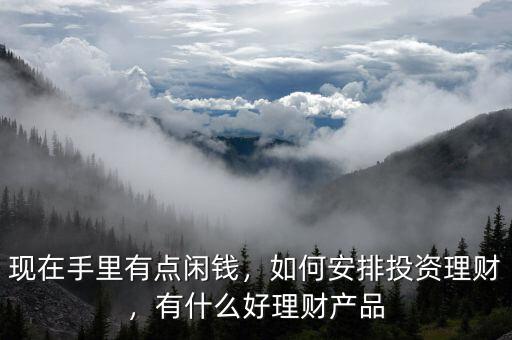 現(xiàn)在手里有點閑錢，如何安排投資理財，有什么好理財產(chǎn)品