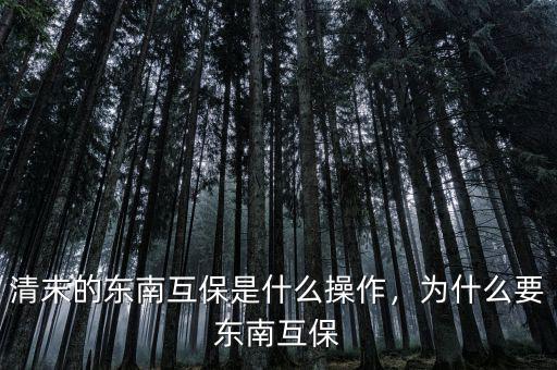 清末的東南互保是什么操作，為什么要東南互保
