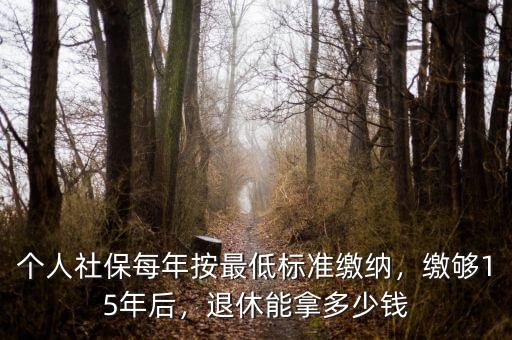 個人社保每年按最低標(biāo)準(zhǔn)繳納，繳夠15年后，退休能拿多少錢