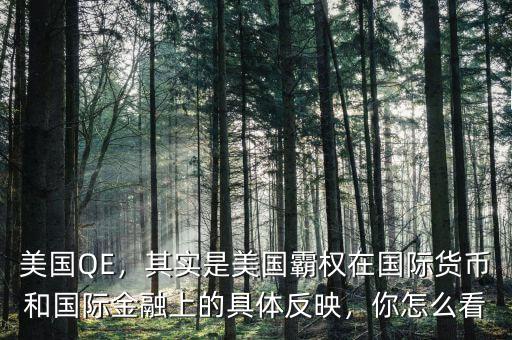 美國(guó)QE，其實(shí)是美國(guó)霸權(quán)在國(guó)際貨幣和國(guó)際金融上的具體反映，你怎么看