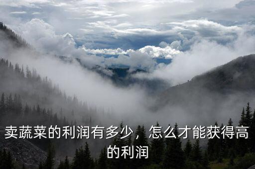 賣蔬菜的利潤(rùn)有多少，怎么才能獲得高的利潤(rùn)