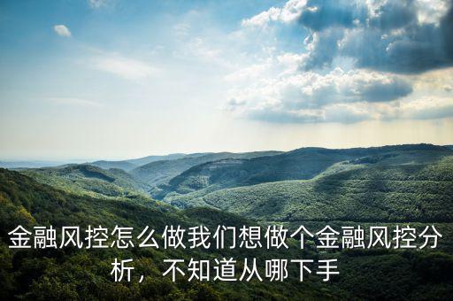 金融風控怎么做我們想做個金融風控分析，不知道從哪下手