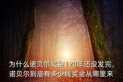 為什么諾貝爾獎(jiǎng)金120年還沒(méi)發(fā)完，諾貝爾到底有多少錢獎(jiǎng)金從哪里來(lái)
