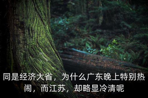 同是經濟大省，為什么廣東晚上特別熱鬧，而江蘇，卻略顯冷清呢
