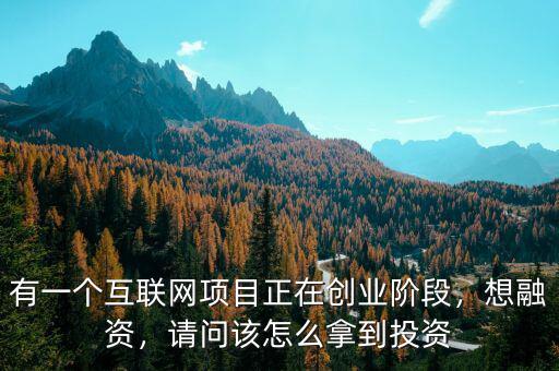 有一個(gè)互聯(lián)網(wǎng)項(xiàng)目正在創(chuàng)業(yè)階段，想融資，請問該怎么拿到投資