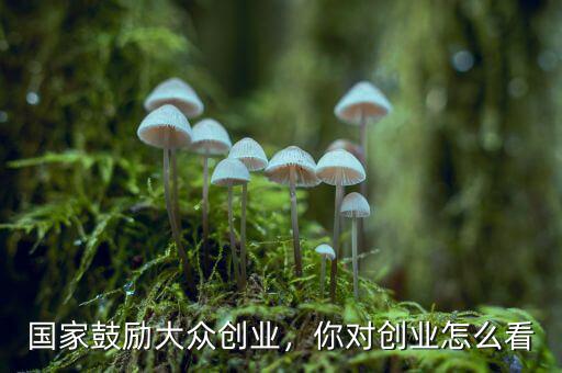 國家鼓勵大眾創(chuàng)業(yè)，你對創(chuàng)業(yè)怎么看