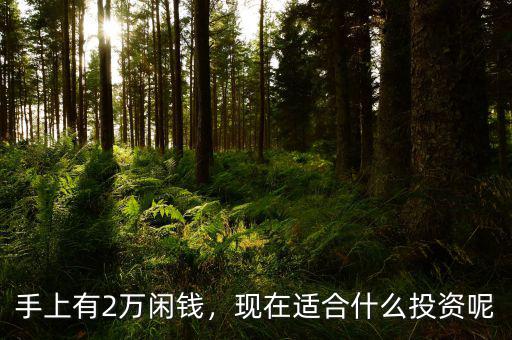 手上有2萬閑錢，現在適合什么投資呢