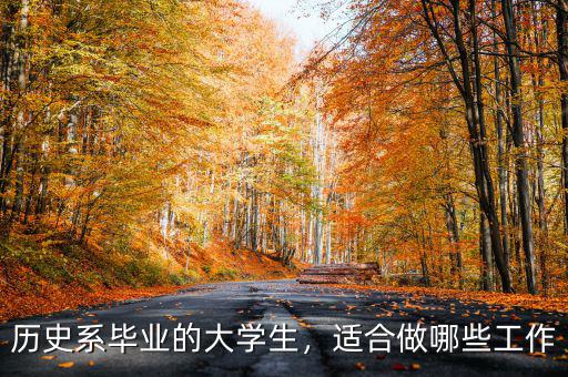 歷史系畢業(yè)的大學(xué)生，適合做哪些工作