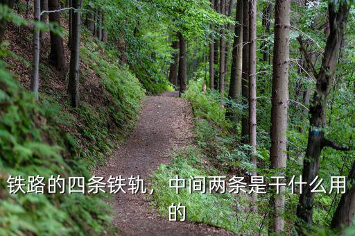 鐵路的四條鐵軌，中間兩條是干什么用的