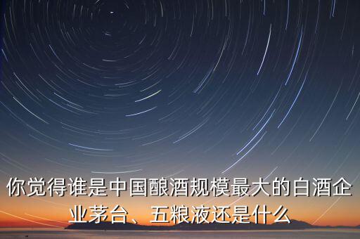你覺得誰是中國釀酒規(guī)模最大的白酒企業(yè)茅臺、五糧液還是什么