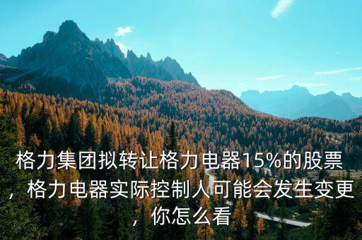 格力集團(tuán)擬轉(zhuǎn)讓格力電器15%的股票，格力電器實際控制人可能會發(fā)生變更，你怎么看