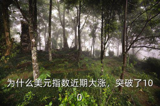 為什么美元指數(shù)近期大漲，突破了100
