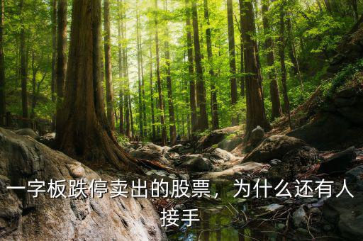 一字板跌停賣出的股票，為什么還有人接手