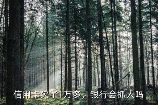 信用卡欠了1萬多，銀行會抓人嗎