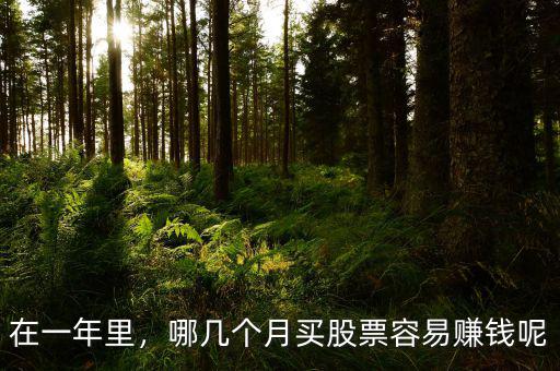 在一年里，哪幾個(gè)月買股票容易賺錢呢