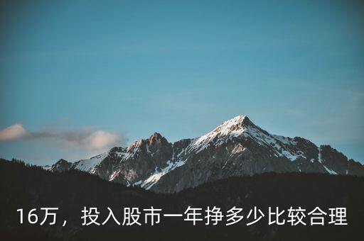 16萬(wàn)，投入股市一年掙多少比較合理