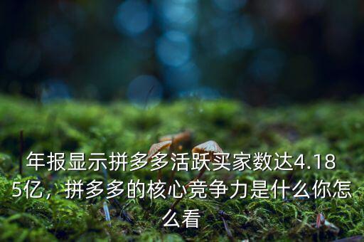 年報(bào)顯示拼多多活躍買(mǎi)家數(shù)達(dá)4.185億，拼多多的核心競(jìng)爭(zhēng)力是什么你怎么看