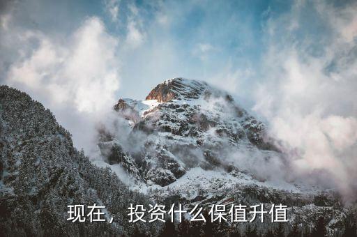現(xiàn)在，投資什么保值升值